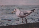 une mouette est posée sur un bord avec la mer au fond.